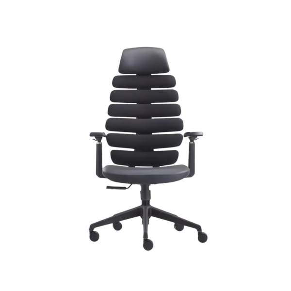 Ergonomic Chair